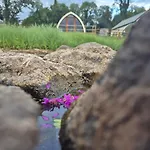 Swan Glamping *