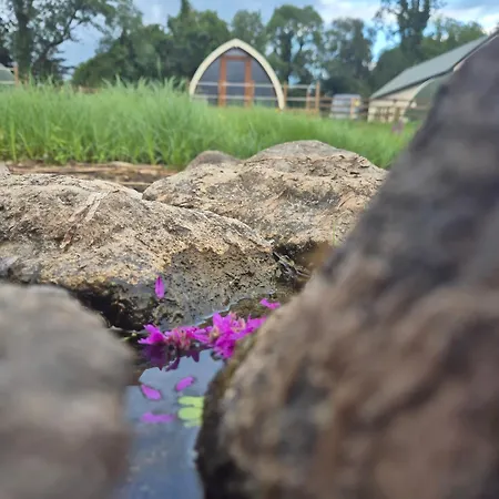 Swan Glamping *