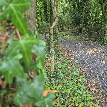 Swan Glamping Camping