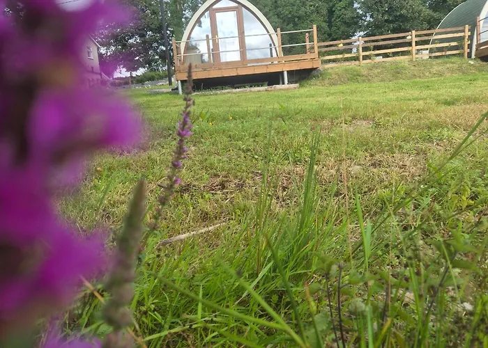 キャンプ場 Swan Glamping