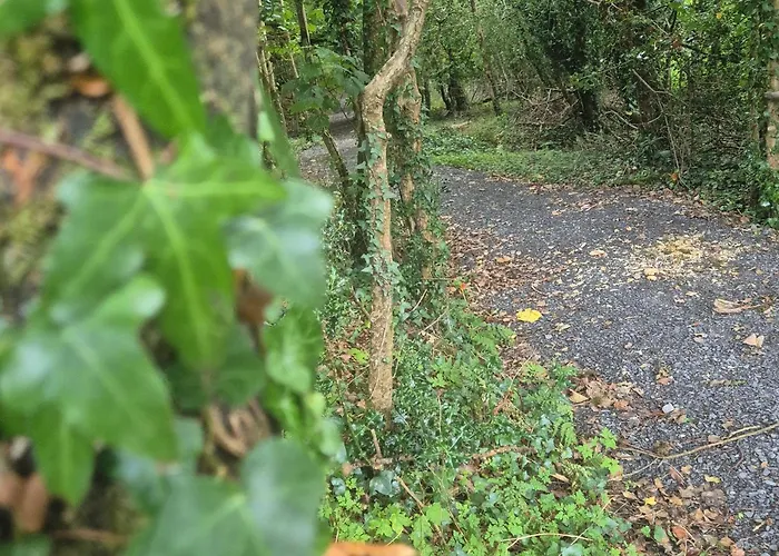 Swan Glamping キャンプ場